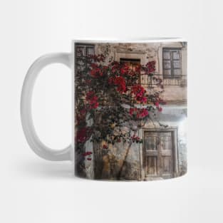 Naxos old island house Mug